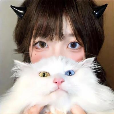 黑吃黑第四季