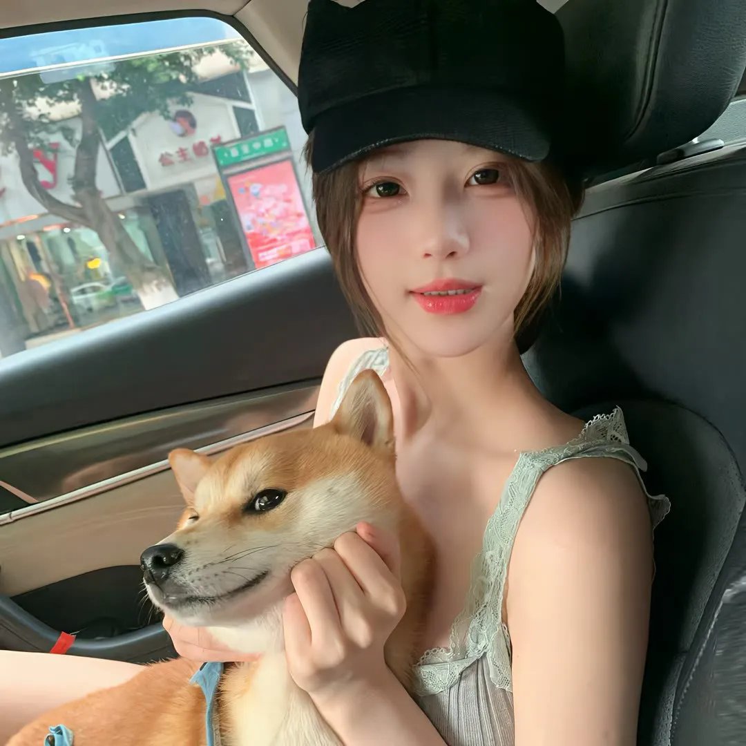 法网缉凶